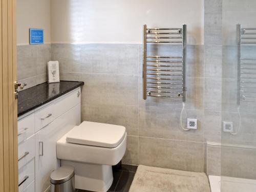 a bathroom with a toilet and a shower at Horseshoe Cottage in Alkham