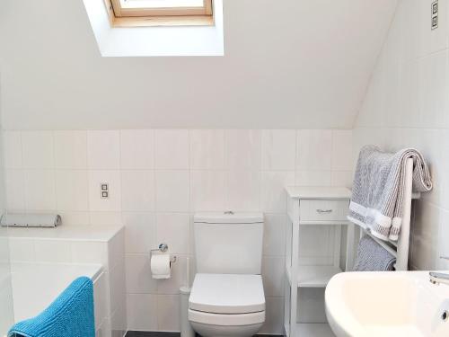 a white bathroom with a toilet and a sink at The Coop - Prrk in Kirdford