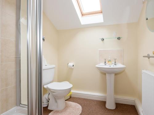 a bathroom with a toilet and a sink and a shower at Neuadd Las in Tregaron