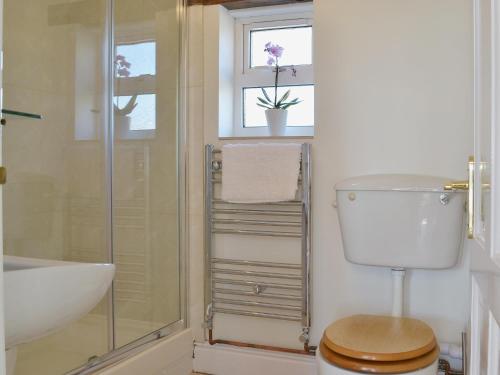 a bathroom with a toilet and a sink and a shower at The Garden Cottage in Wrangaton