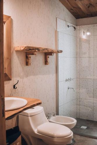 a bathroom with a toilet and a sink and a shower at Posada Los Cipreses in San Rafael