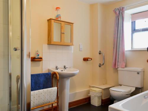 bagno con lavandino, servizi igienici e specchio di Halford Big Barn a Halford