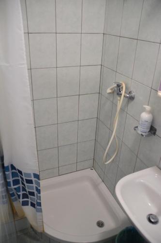 a small bathroom with a shower with a sink at Sobe Pintur in Grožnjan