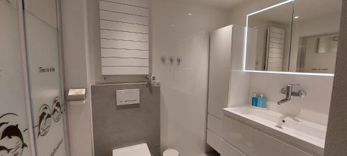 bagno con servizi igienici, lavandino e specchio di BenB-Hollandsingel a Waalwijk