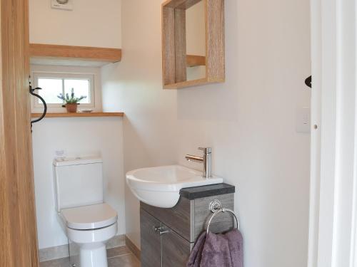 uma casa de banho com um WC, um lavatório e um espelho. em Paxton View Barn em Llanddarog