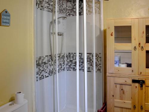 DolwyddelanにあるBryn Rhos Gochのバスルーム(白いシャワーカーテン付きのシャワー付)が備わります。