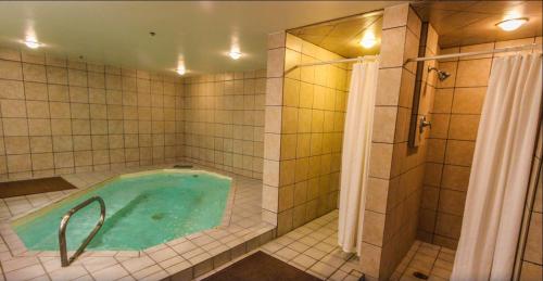 baño con bañera de hidromasaje y ducha en Park Hotel Condominiums en Park City