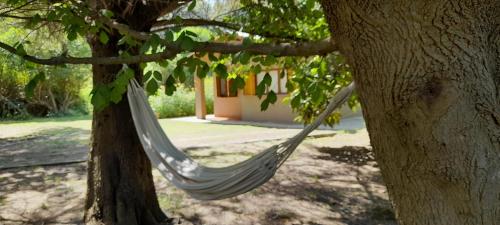La Sureña – Photos 2