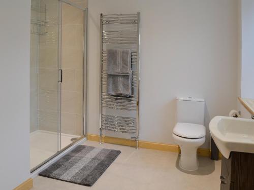 a bathroom with a shower and a toilet and a sink at Tornahatnach - UK5177 in Alford