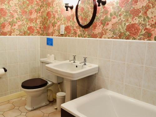 een badkamer met een wastafel, een toilet en een spiegel bij Perriwinkle-mgh in Akeld