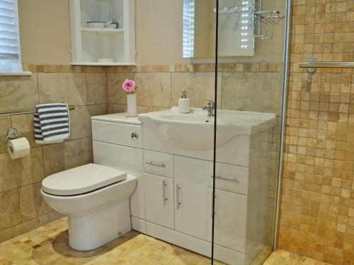 a bathroom with a toilet and a sink and a shower at Petit Knowle in Cuckfield