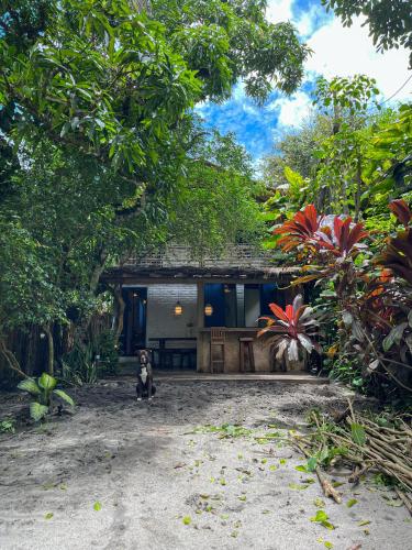 a dog sitting in front of a house at Casa do Rio in Caraíva