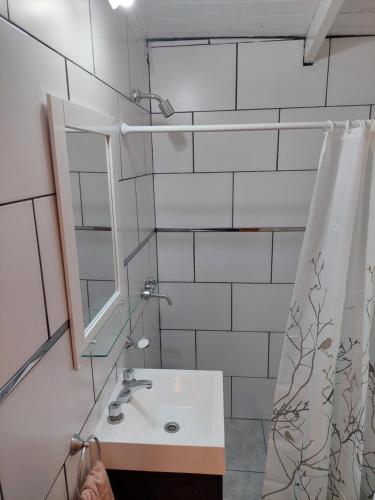 a bathroom with a sink and a mirror at Rustik Palace in El Bolsón