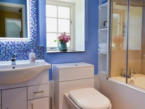 ein Badezimmer mit einem Waschbecken, einem WC und einem Spiegel in der Unterkunft Cowbeech Farm Cottage in Herstmonceux