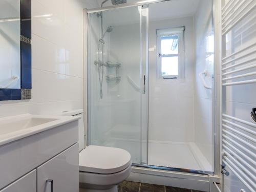 a bathroom with a shower and a toilet and a sink at Mill Cottage in Bampton
