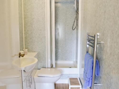 a bathroom with a toilet and a sink and a shower at The Stables At Old Vicarage Cottage in Abergele