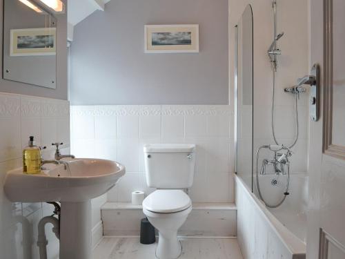 a bathroom with a toilet and a sink and a shower at Wendon in Criccieth