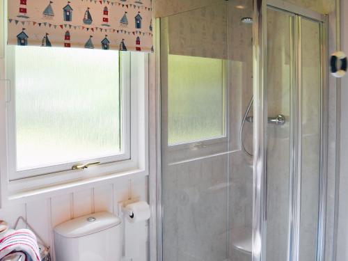 a bathroom with a shower and a toilet and a window at Cedar Lodge in Palnackie