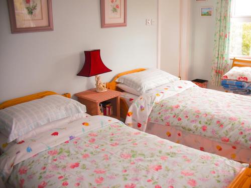 a bedroom with two beds and a table with a lamp at The Well Meadow B&B in Nenagh