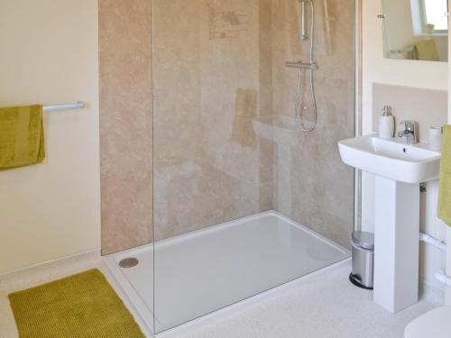 a bathroom with a shower and a sink at Orchid Lodge in Hainford