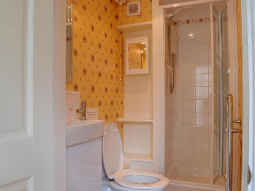 a bathroom with a toilet and a sink and a shower at Pear Tree Cottage in Kinlet