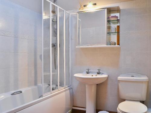 een badkamer met een toilet, een wastafel en een douche bij Y Dderwen At Brynglas Farm in Llanfair Caereinion