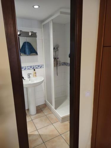 a bathroom with a sink and a shower at Apartamento Portal de Molina in Albarracín