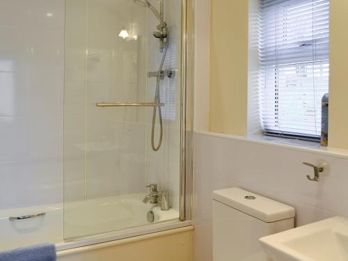 a bathroom with a shower and a toilet and a sink at Foulden Hill Farm Cottage in Foulden