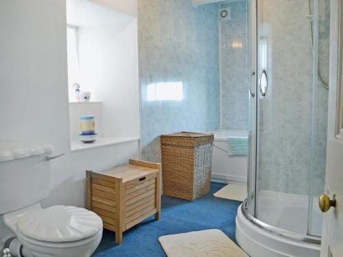 een badkamer met een toilet en een glazen douche bij Nyffryn Bella in Llandudwen