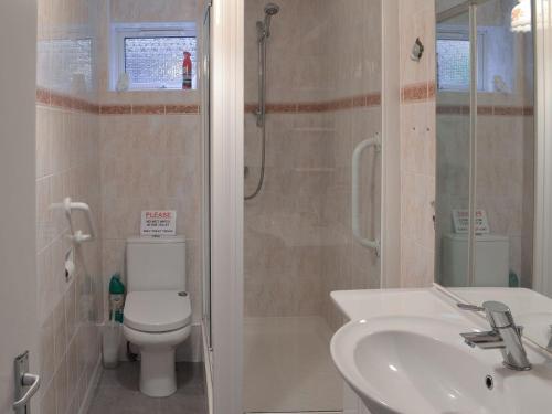 a bathroom with a shower and a toilet and a sink at The Lookout in Torquay