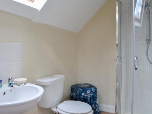 a bathroom with a toilet and a sink and a shower at Bramble Cottage in Meigle