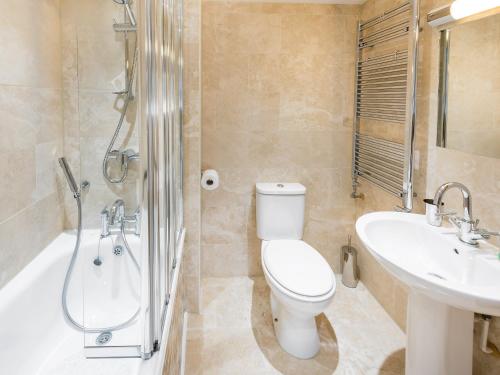 a bathroom with a toilet and a sink and a shower at Shoreline in Appledore