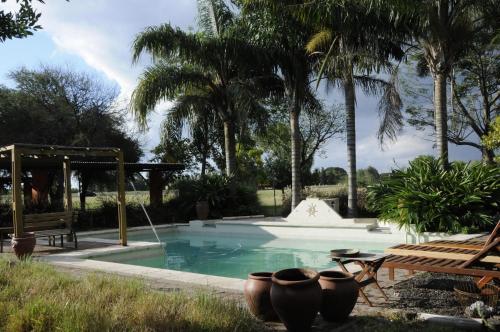 uma piscina com uma mesa de piquenique e palmeiras em Hotel Monte Regina em Vera