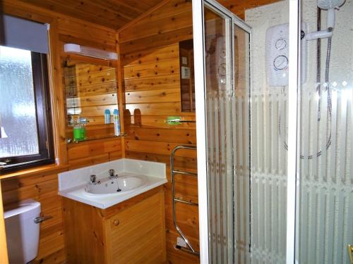 ケズウィックにあるBewick Lodgeのバスルーム(シャワー、洗面台、トイレ付)