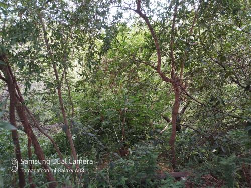 La Guarida – Photos 3
