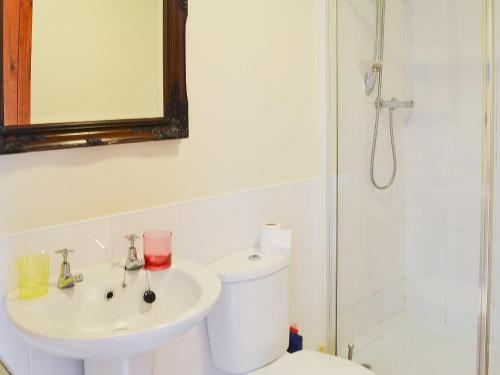 a bathroom with a toilet and a sink and a shower at Broomstick Cottage in Elsdon