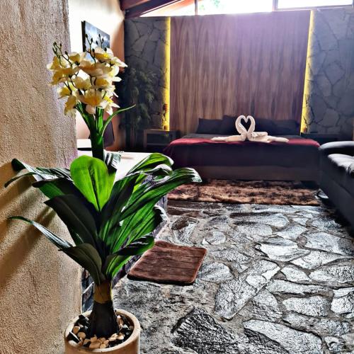 um quarto com uma cama e uma planta num vaso em No. 2 Encantador Loft Jacuzzi Mazamitla em Mazamitla