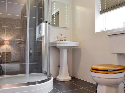 a bathroom with a shower and a toilet and a sink at Castle View in Llanbadarn-fynydd