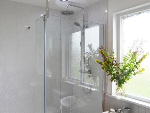 a shower with a glass door in a bathroom at Ashlea in Barnard Castle