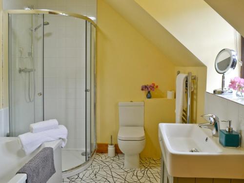 a bathroom with a shower and a toilet and a sink at Mill Cottage in Peterchurch
