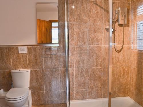 a bathroom with a shower and a toilet at Horsepark Cottage in Girthon