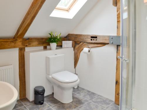 a bathroom with a toilet and a sink at Burfields Barn in Rickinghall