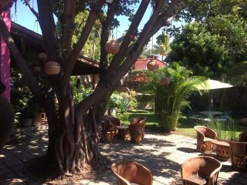 Los Agaves Casa Boutique – Photos 2