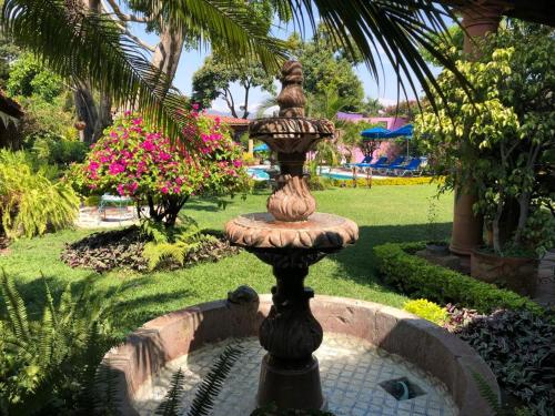 Los Agaves Casa Boutique – Photos 5
