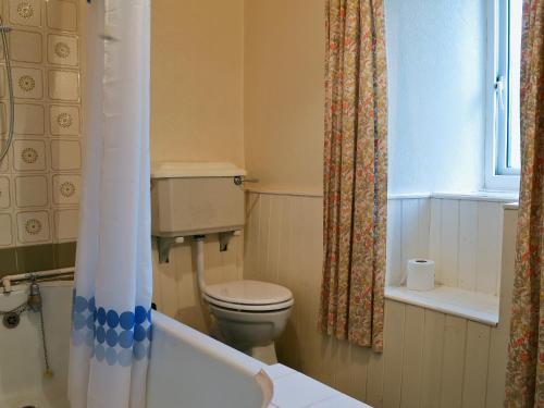 a bathroom with a toilet and a shower curtain at Gallt Y Balch in Llangadwaladr