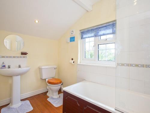 a bathroom with a toilet and a sink and a shower at Fir Tree Cottage in Standon