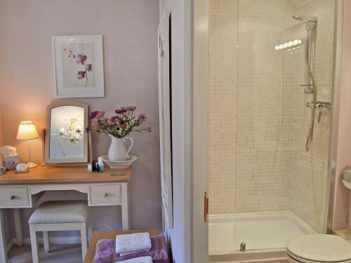 a bathroom with a shower and a sink and a toilet at Lace Cottage in Ashbourne