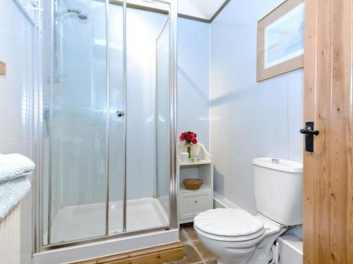 a bathroom with a shower and a toilet at Bickley School Annexe in Broxa