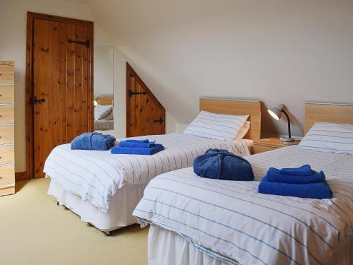 Broom的住宿－拜爾鄉村別墅，一间卧室配有三张床和蓝色枕头。