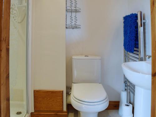 a bathroom with a white toilet and a sink at The Byre in Broom
